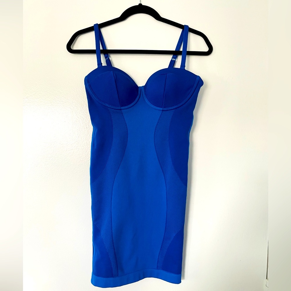 Ivy Park Bodycon Dress